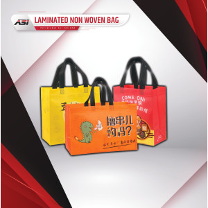 Laminated Non Woven Bag