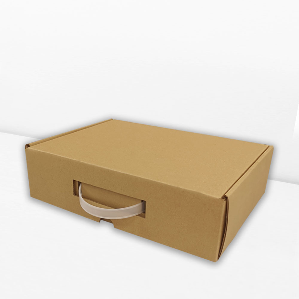 Die-Cut Box With Plastic Handle (0)