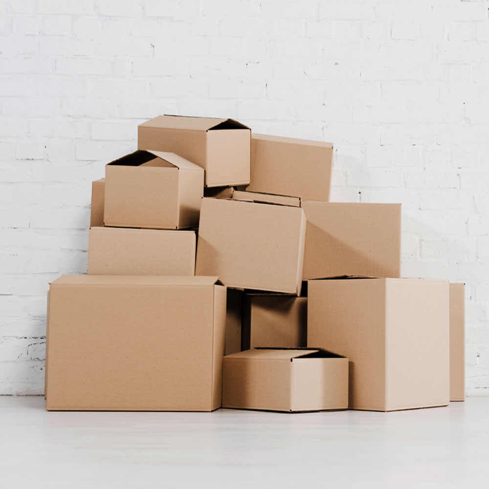 Regular Slotted Carton (0)